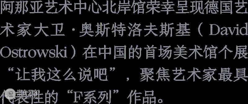展览|大卫·奥斯特洛夫斯基、张月薇、马西尼萨·塞尔马尼、朱迪·沃森精选媒体报道 北岸馆 崇真艺客